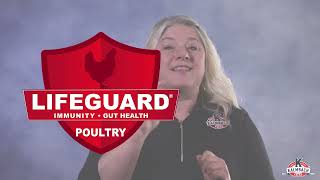 Henhouse Reserve® Premium Poultry Feed [upl. by Atiuqer]