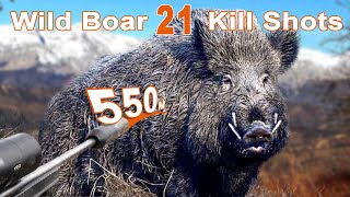 Wild Boar Hunting Shots Compilation  Compilation de tir au Sanglier 2023 [upl. by Guyon]