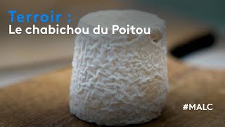 Terroir  le chabichou du Poitou [upl. by Aldarcie]