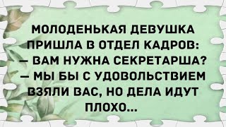 Молоденькая девушка пришла в отдел кадров Сборник свежих анекдотов Юмор [upl. by Onilegna]