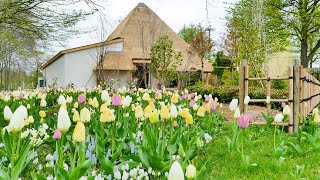 Floriade Expo 2022 AmsterdamAlmere [upl. by Tychonn]