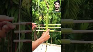 bamboo archery bamboogun satisfying bowandarrow bowmaker bowmakers diy toy slingshots [upl. by Bjorn877]