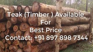 Timber Teak Wood  Best Price  Forest Permit Approved [upl. by Nelo120]