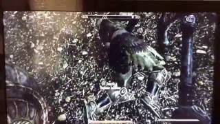 How to Get Steel Plate Armor at Level 1 in Skyrim [upl. by Doownelg502]