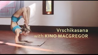 Vrschikasana with Kino Macgregor Fourth Series Ashtanga Yoga Demonstration [upl. by Delastre]