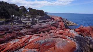 Bay of Fires [upl. by Cedar]