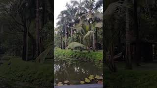 goa theleela beautifulproperty [upl. by Airehc]