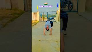 How to do Chakrasana walk  Wheel pose fitness  yoga shorts 🧘‍♂️🙏🇮🇳 [upl. by Naicad717]