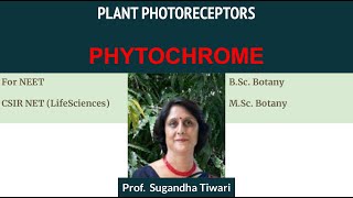 Plant Photoreceptor Phytochrome [upl. by Keele]