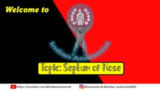 Anatomy Spotlight The Nasal Septum [upl. by Ernst503]