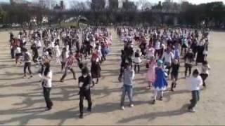 Cirnos Perfect Math Class by 300 jpn personz [upl. by Toolis]