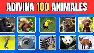 Adivina 100 Animales en 5 Segundos 🦈🐙🐳  Quiz De Animales  Fácil Medio Difícil [upl. by Ailegnave305]