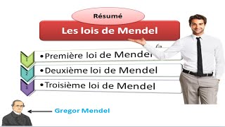 Résumé des trois lois de Mendel [upl. by Enigroeg]