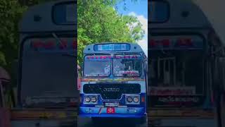 NIrosha enterprise I pulmudecolombu I ND9169 slbus slbusfans shortvideos viralvideos love [upl. by Oiziruam644]