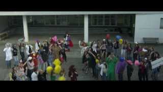 LipDub Lycée George Sand 2013 [upl. by Eglantine]