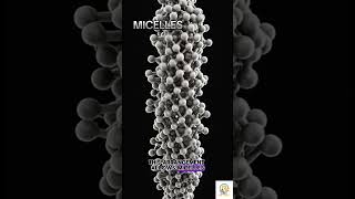 Micelles Definition By Prof Ashish Baldi Micelles drugdelivery [upl. by Johann]