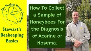 How to Collect a Sample of Honeybees for Diagnosis of Acarine or Nosema Beekeeping Basics [upl. by Bobker]