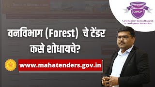 Searching of Forest Tenders [upl. by Massey]