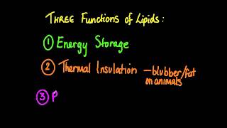 326 State three functions of lipids [upl. by Dnomed764]