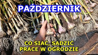 PAŹDZIERNIK co siać sadzić jakie prace wykonywać w Październiku Gleba Zimowanie Uprawa Warzyw [upl. by Ellennod]