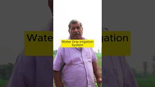 Why quotDrip Irrigationquot is the best irrigation method for quotPapayaquot  Mr Sudhir Chadha [upl. by Enelehs]