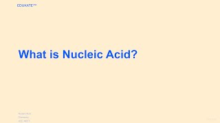 What is Nucleic Acid [upl. by Parthinia875]