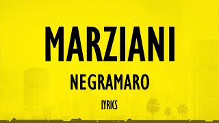 Negramaro  Marziani TESTOLYRICS [upl. by Ahsatan607]