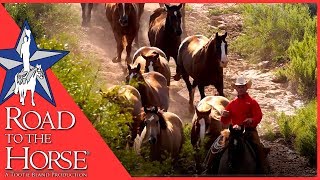 The AQHA Remuda from the 6666 Ranch  Road to the Horse 2017 [upl. by Veljkov]