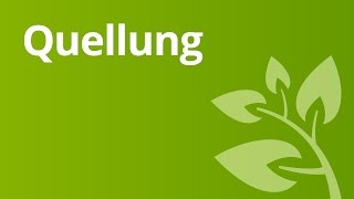 Keimungsbedingungen und Quellung von Speisebohnensamen  Biologie [upl. by Etterrag]