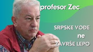 U Srbiji ne postoji građanska svest  profesor Zec [upl. by Ycrem]