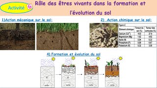 Rôle des êtres vivants dans la formation et lévolution du sol TCSF شرح بالداريجة [upl. by Aiclef]