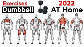 Full Body HOME Dumbbell WORKOUT squats chest triceps biceps  back shoulder wrist Calves [upl. by Rickert]