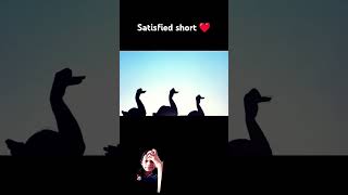 satisfied shorts ❤️ hand official nishi youtubeshorts [upl. by Anigriv309]