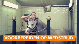 Voorbereiden op een wedstrijd of speciale gelegenheid  PaardenpraatTV [upl. by Candi]