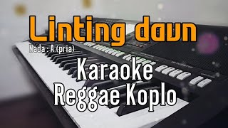 Linting daun  Karaoke lirik  REGGAE KOPLO Nada pria [upl. by Mcloughlin]