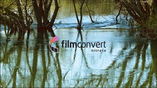 FilmConvert Nitrate film stocks in 30 seconds  Bmpcc Original bmpccog [upl. by Rebmac]