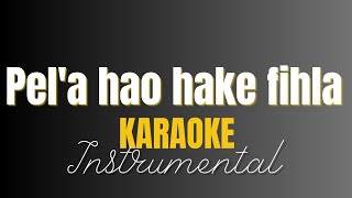 Pela hao hake fihla instrumentals with lyrics [upl. by Adalia]