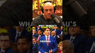 Rogan on Trudeau Getting Grilled by Poilievre [upl. by Heins313]