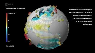 Carbon dioxide ocean–atmosphere exchange [upl. by Esac]