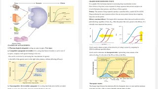 8 Pharmacology Pharmacodynamics From Antagonists to Therapeutic Windows [upl. by Nylyahs]