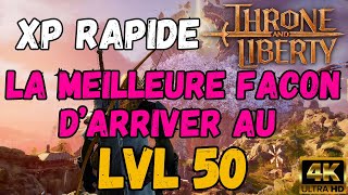 Monter lvl 50 en 5h cest faisable THRONE AND LIBERTY [upl. by Eelyram]