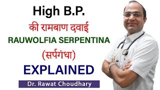 Rauwolfia Serpentina Q Explained  Homeopathic Medicine for High BP  High Blood Pressure [upl. by Eisyak]