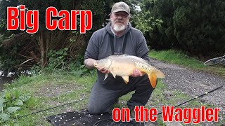 Big carp on the waggler april 2024 [upl. by Aslehc]