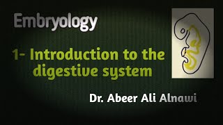 Embryology1 Introduction to the digestive system Dr Abeer Ali Alnawi [upl. by Joshia243]