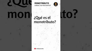 ¿Qué es el monotributo [upl. by Keli]