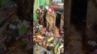 Subramanya Swamy darshanam devotee music [upl. by Yerfej974]