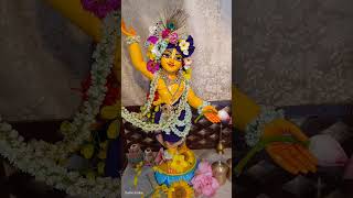 😍Gauranga Nityananda 🥰 video vairalvideo nita [upl. by Lahcym636]