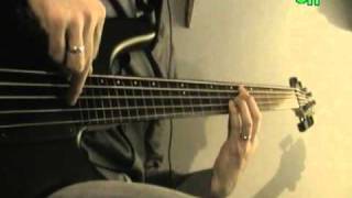 Pooh Quasi città  fretless bass cover by Giorgio Tonazzo [upl. by Doownelg]