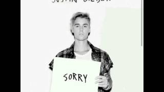 Justin Bieber  Sorry Offical Audio hq [upl. by Akemad]