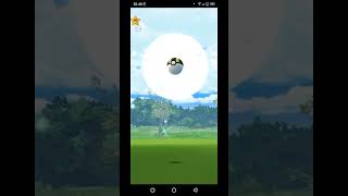 POKEMON GO  WALRUS pokemon powergamingpokemon pokemongo [upl. by Hermy]